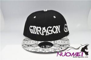 HS0488   Fashion baseball cap