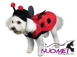 PE0011   Pet costumes