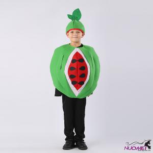 B2018 Boys Costumes