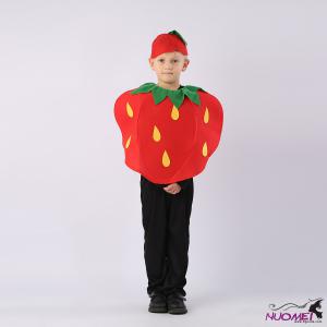 B2020 Boys Costumes