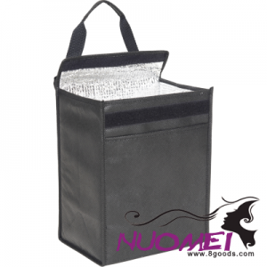 B0231 RAINHAM LUNCH COOL BAG